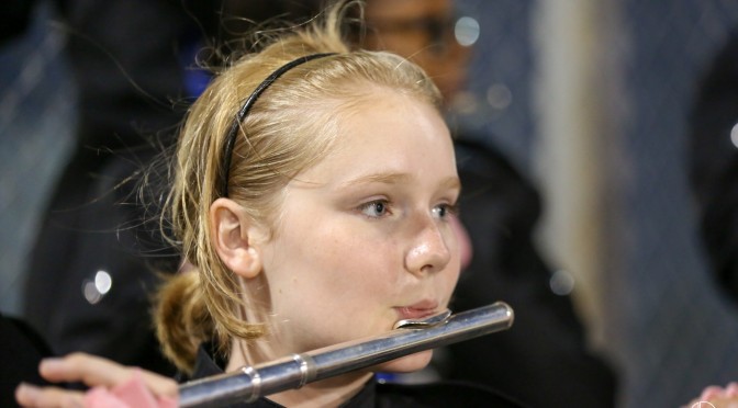 clear springs flute in stands friendswood